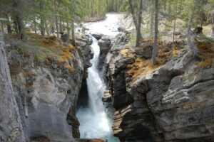 Family Fun Things to Do in Clearwater County