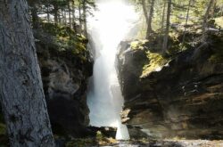 Siffleur Falls Hike: Cross a Suspension Bridge to Reach a Gorge and Stunning Falls
