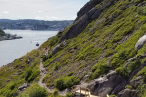 25 of the Best Walks & Hikes in St John's and Avalon Peninsula
