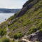 25 of the Best Walks & Hikes in St John's and Avalon Peninsula