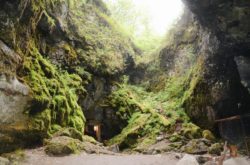 Healthy Parks Healthy People: Ontario Provincial Parks Free Use Day Returns on July 17