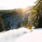 25 Must-Visit Ski Resorts in British Columbia If You Love Downhill Skiing