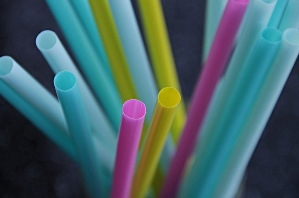 Single Use Plastics will be Banned in Canada by 2021