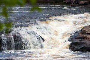 Sir Richard Squires Memorial Provincial Park