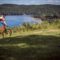 25 of the Best Things to Do in Haliburton Highlands During Summer