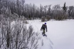 Skiing to Ice Fishing: Winter Fun at Greenwater Lake Provincial Park
