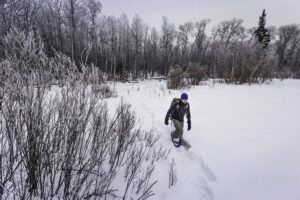 Skiing to Ice Fishing: Winter Fun at Greenwater Lake Provincial Park