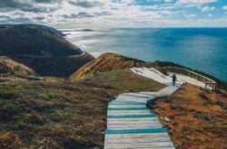 Heading to Skyline Trail? Parks Canada Adds Timed Parking Reservations for Peak Season