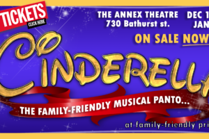 Cinderella Panto