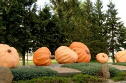 10 Fun Fall Activities Around Smoky Lake