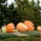 10 Fun Fall Activities Around Smoky Lake