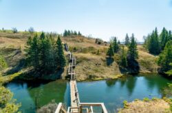 No Vehicle Permit Required: Manitoba Provincial Parks Offer Free Admission Until March 2026