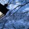 Ghost Tours, Walks & Paranormal Investigations in Toronto and the GTA - 2025 Halloween Season