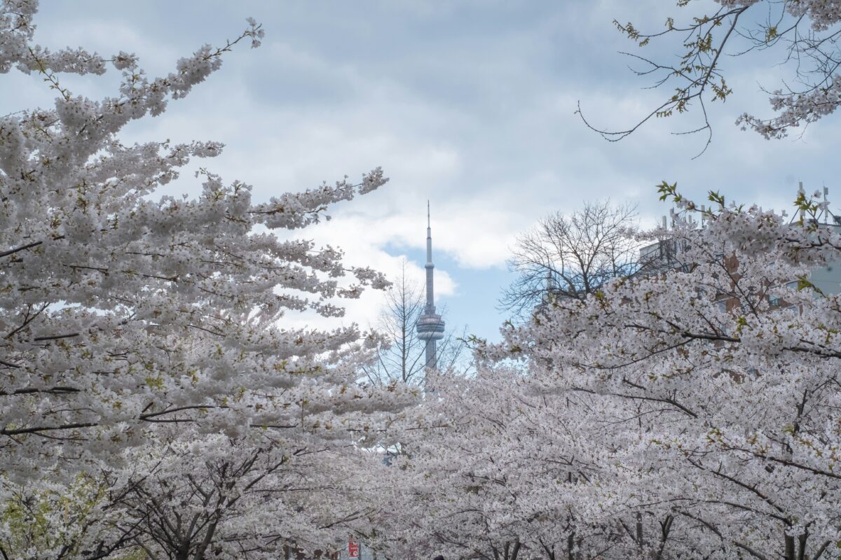 2026 Spring Fun in Ontario: 60+ Adventures and Festivals