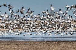 15 Spring Day Trips From Edmonton