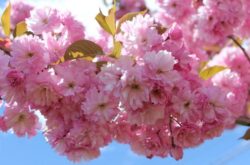 25 Things to Do During Spring in Nova Scotia