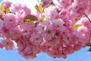 25 Things to Do During Spring in Nova Scotia