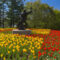 50+ Things to Do This Spring in Ottawa - 2026 Events & Festivals
