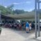 Springbank Garden Concert Series