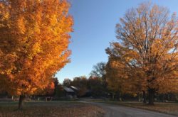 20 Things to Do This Fall in and Around Halton Region
