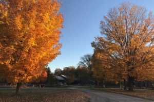 25 Things to Do in Fall in and Around Halton Region