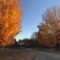 20 Things to Do This Fall in and Around Halton Region