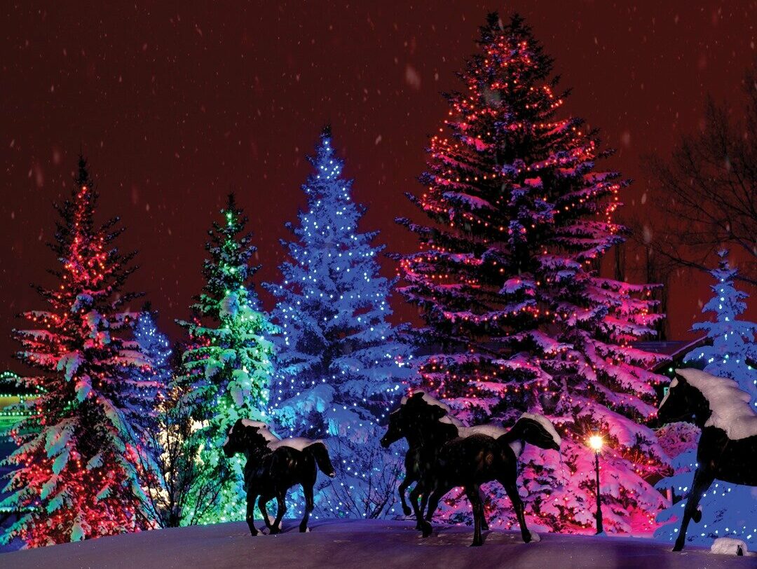 Enchanting DriveThrough Christmas Light Displays in Alberta 2023