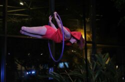 50 Things to Do This September in Newfoundland & Labrador - 2026