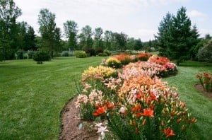 StAlbertBotanicgarden1
