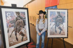 2027 Calgary Stampede Poster Captures the Drama of Bull Riding