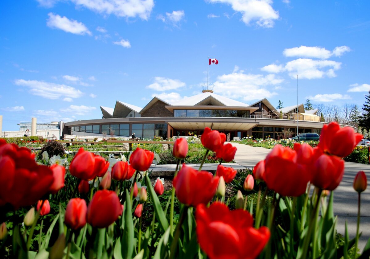 Stratford Festival Queen Street, Stratford To Do Canada
