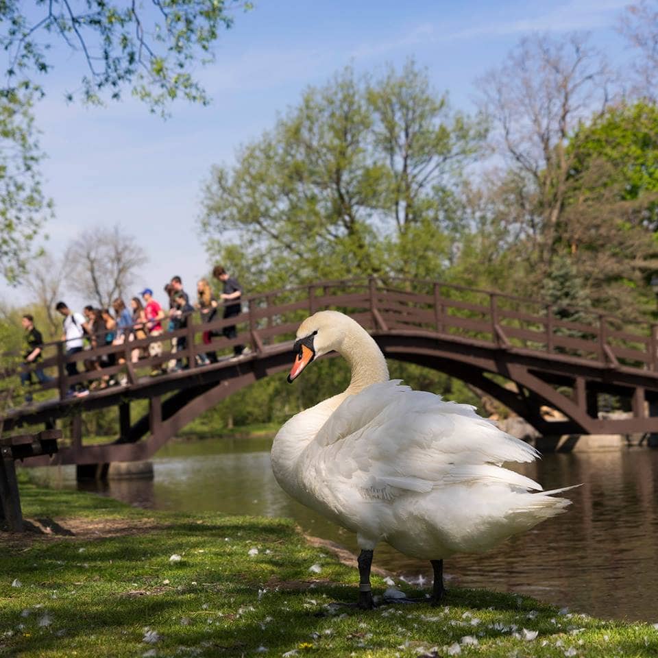 5 Getaways for this Weekend in Ontario