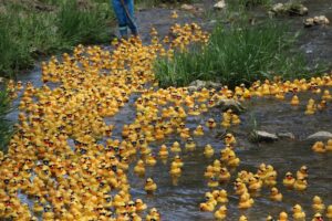 2026 Spring Fun in Ontario: 60+ Adventures and Festivals