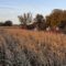 Corn Mazes and Pumpkin Patches in Manitoba