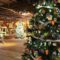 Stevenson Festival of Trees