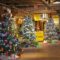 Steveston Festival of Trees