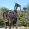 Things to Do on a Trip to Stony Plain