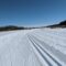 Things to Do during Winter in Strathcona County