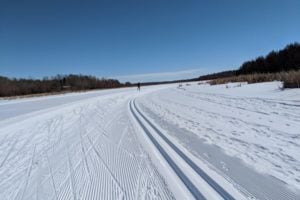 Things to Do during Winter in Strathcona County