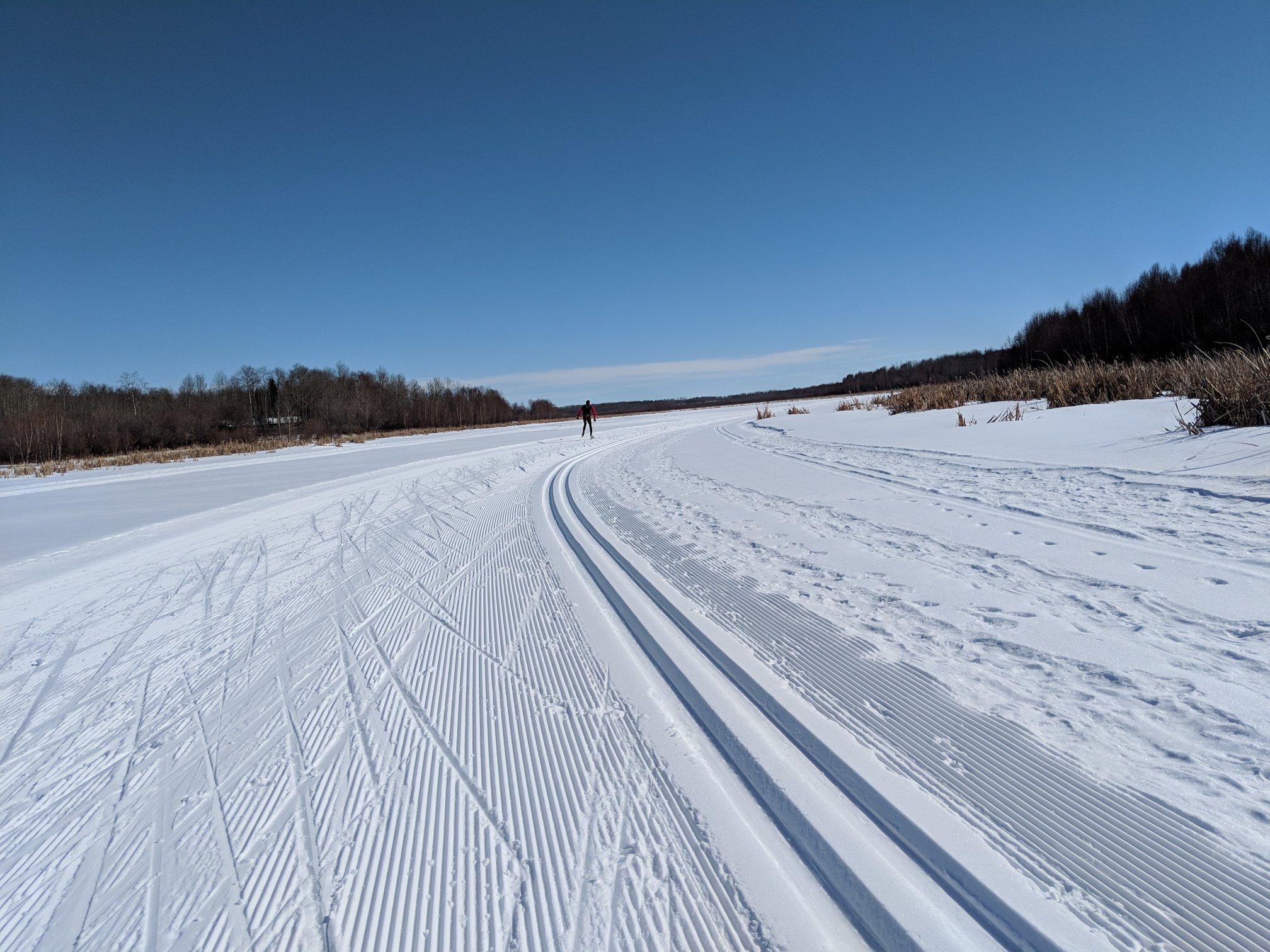 Winter in Strathcona County
