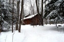 Sugar Bushes and Maple Tree Farms to Visit in Nova Scotia