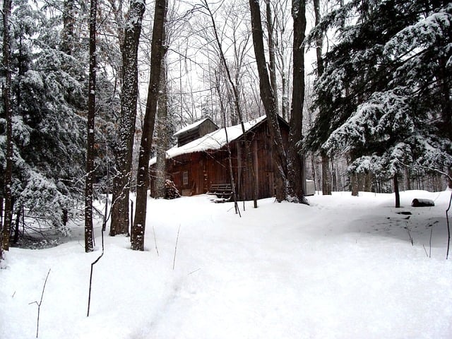 Sugar Bushes and Maple Tree Farms to Visit in Nova Scotia