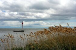 Summer Activities in Port Rowan: From Sandy Beaches to UNESCO Biosphere