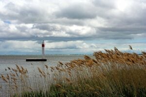 Summer Activities in Port Rowan: From Sandy Beaches to UNESCO Biosphere