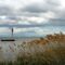 Summer Activities in Port Rowan: From Sandy Beaches to UNESCO Biosphere