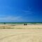 Summer Activities in Sauble Beach: Make the Best of Your Ontario Beach Vacation