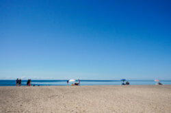 Summer Adventures at Darlington Provincial Park - Beaches & Trails Just Off the 401