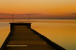 Summer at Wabamun Lake: Dive Into Water Sports or Relax at the Beach