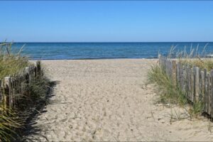 Summer in Grand Bend Make the Most of Your Getaway with Exciting Adventures Beyond the Sand