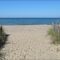 Summer in Grand Bend Make the Most of Your Getaway with Exciting Adventures Beyond the Sand